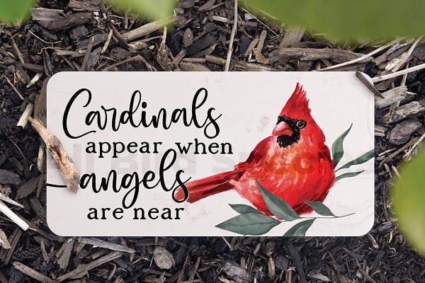 cardinals appear when angels are near