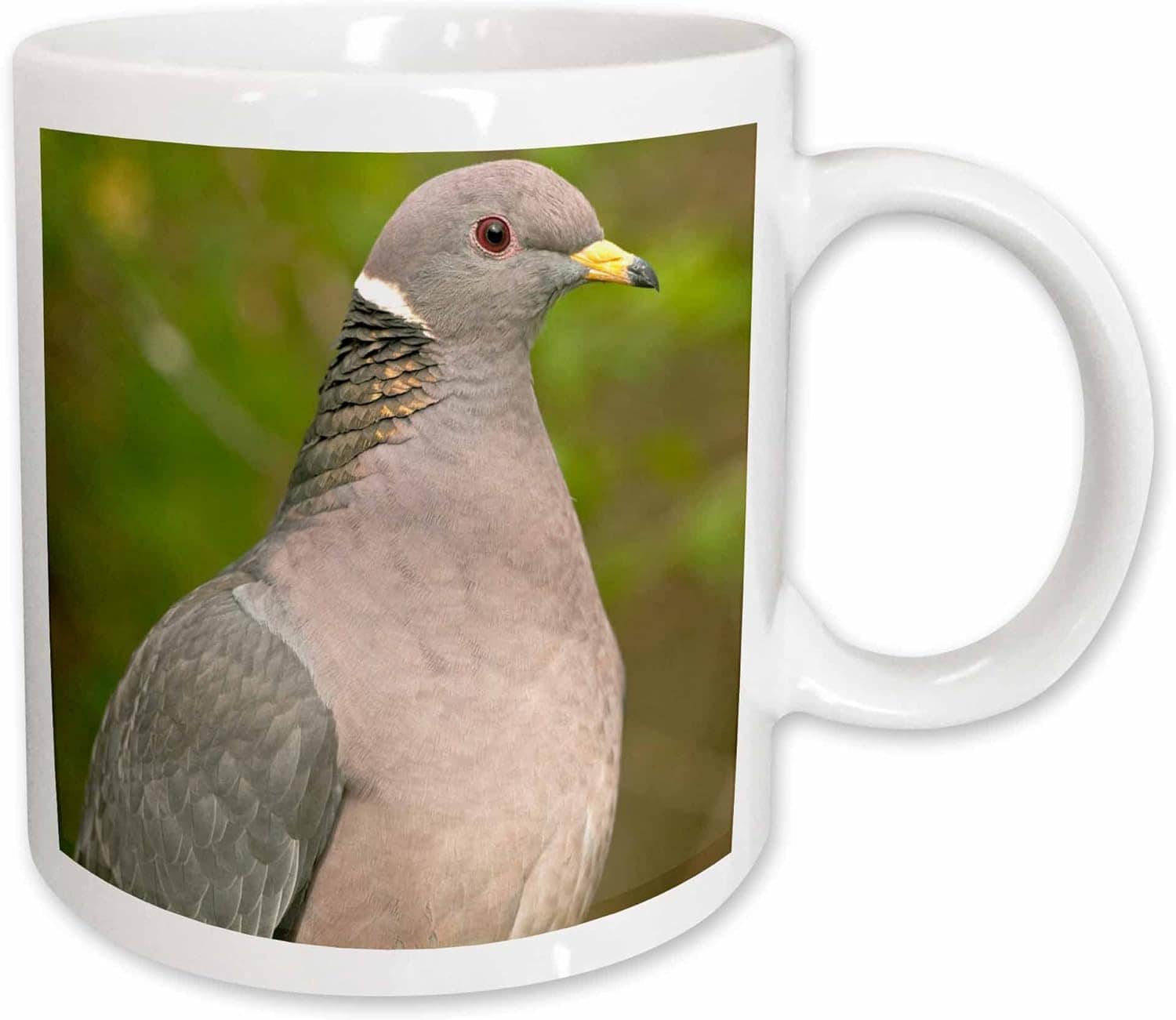 3dRose A Band-Tailed Pigeon Mug