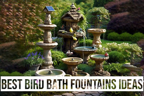 Best Bird Bath Fountains Ideas