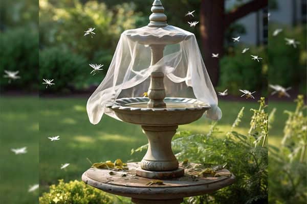 Mosquitoes Out of Bird Bath