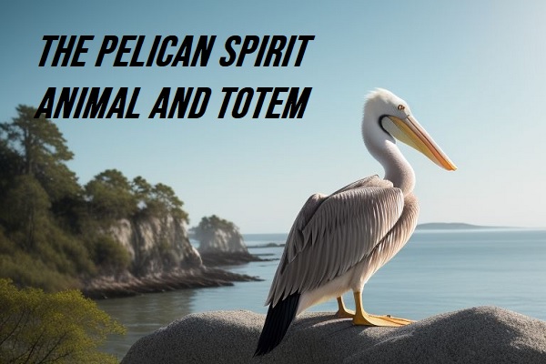Pelican Spirit Animal and Totem