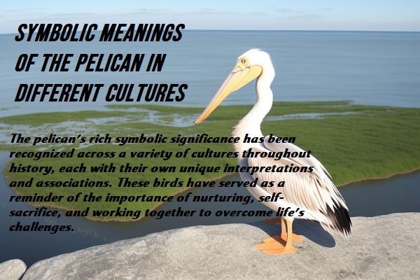 Symbolic Meanings of the Pelican