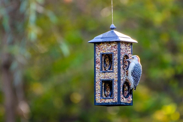 how to Stop The Mess Under Your Bird Feeders