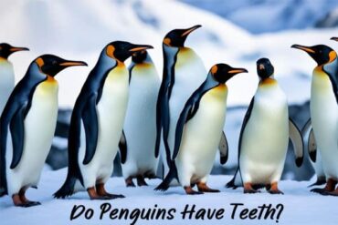 Do Penguins Have Teeth