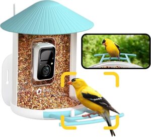 AI Smart Bird Feeder with Camera