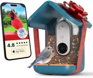 squirrel proof bird feeder with camera