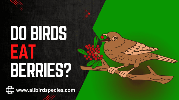 Do Birds Eat Berries