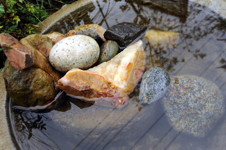 A bird bath in a garden